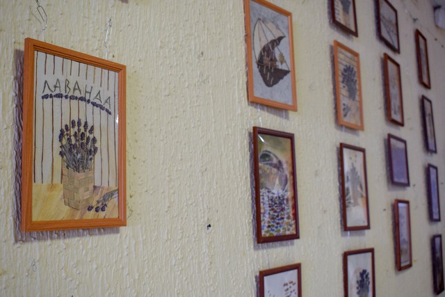 foto 2025 03 10 15 07 007